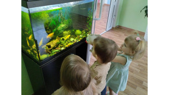 Тематическая беседа на тему "Рыбы.
