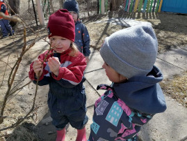 Вот и пришла весна.