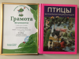 Зеленый контейнер.