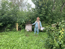 В гостях у Старичка-Лесовичка летом.