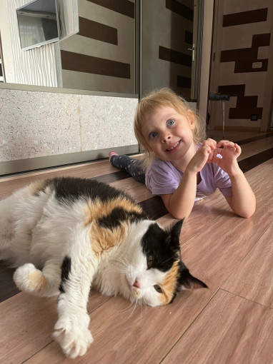 Всемирный день кошек.