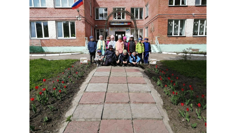 Высажены клубни тюльпанов.