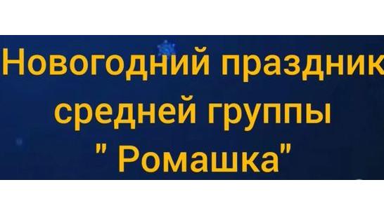 Новогодний праздник средней группы " Ромашка".