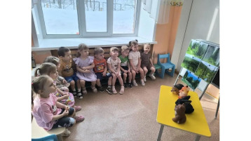 занятие "Берегите лес".